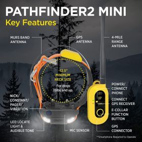 GPS Dog Tracking Collar Dogtra PATHFINDER2 MINI – Orange
