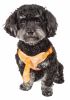 Adjustable Dog Harness Reversible Mesh with Designer Neck Tie