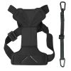 Dog Car Harness With Safety Leash – Road-To-Safety Travel Gear