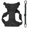 Dog Car Harness With Safety Leash – Road-To-Safety Travel Gear