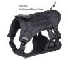 Dog Harness with Leash and Snap Shackle Hitched Loop