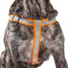 Dog Leash and Harness Reflective Easy Tension 2 in 1 Adjustable Set