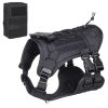 Dog Harness with Leash and Snap Shackle Hitched Loop
