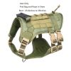 Dog Harness with Leash and Snap Shackle Hitched Loop