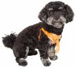 Adjustable Dog Harness Reversible Mesh with Designer Neck Tie