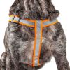 Dog Leash and Harness Reflective Easy Tension 2 in 1 Adjustable Set