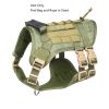 Dog Harness with Leash and Snap Shackle Hitched Loop