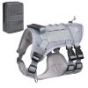Dog Harness with Leash and Snap Shackle Hitched Loop