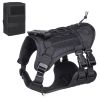 Dog Harness with Leash and Snap Shackle Hitched Loop