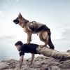Tactical Dog Harness Adjustable Vest with 3 Detachable Pouches